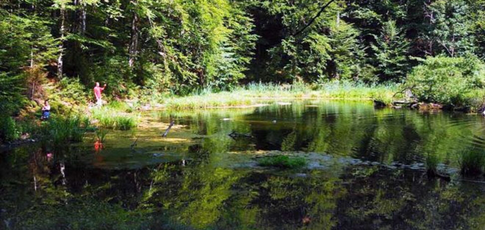 Не только Синевир: топ-5 потрясающих озер в Карпатах