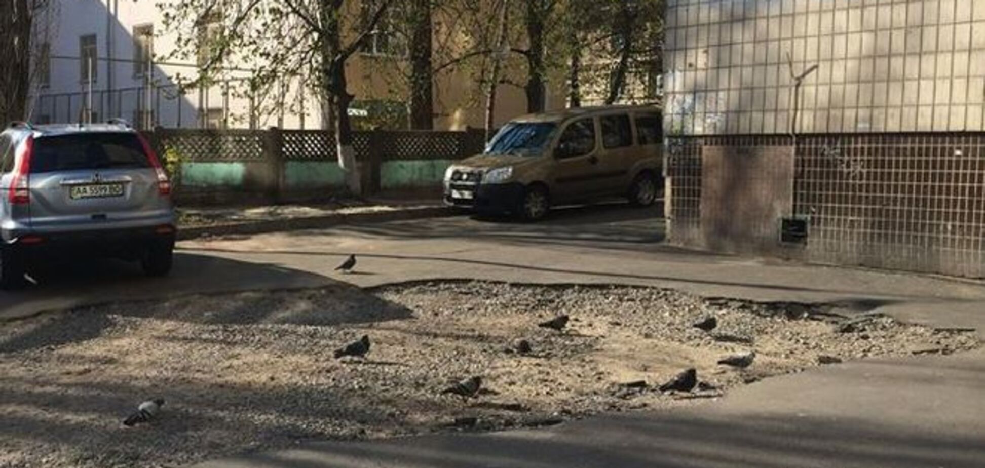 Привет коммунальщикам: в Киеве яма превратилась в кормушку для птиц
