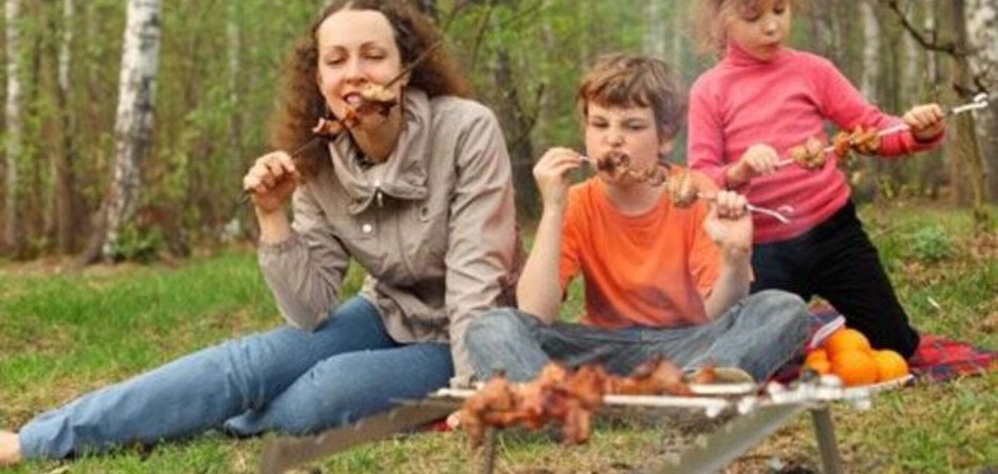 Где в Киеве пожарить шашлык, чтобы не оштрафовали