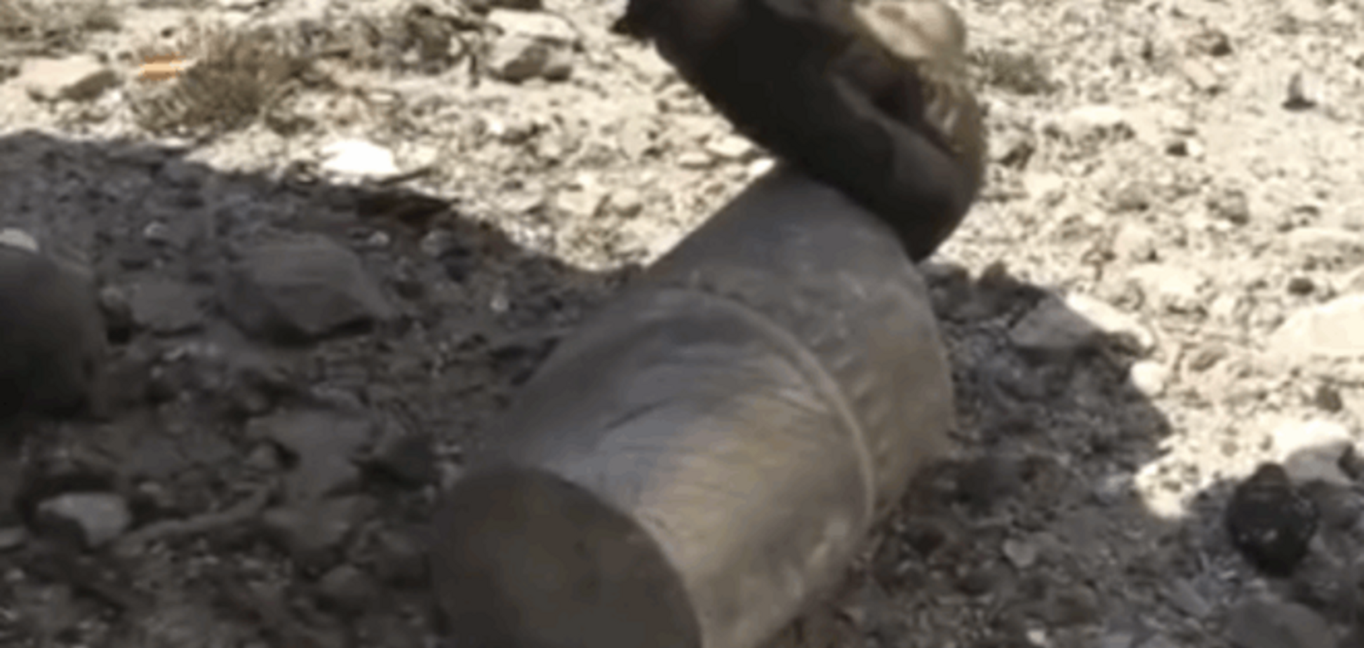 'Маяк' под Широкино превращается в донецкий аэропорт: видеофакт