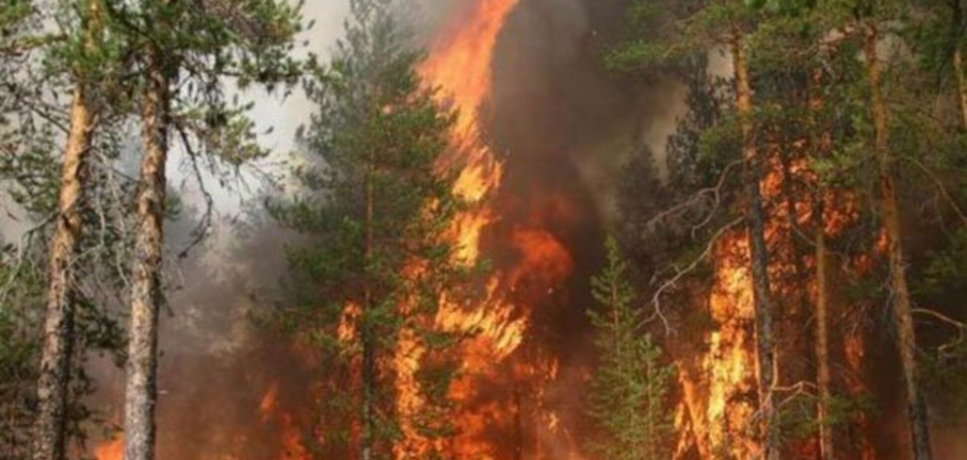 Площадь пожаров в Сибири продолжает расти