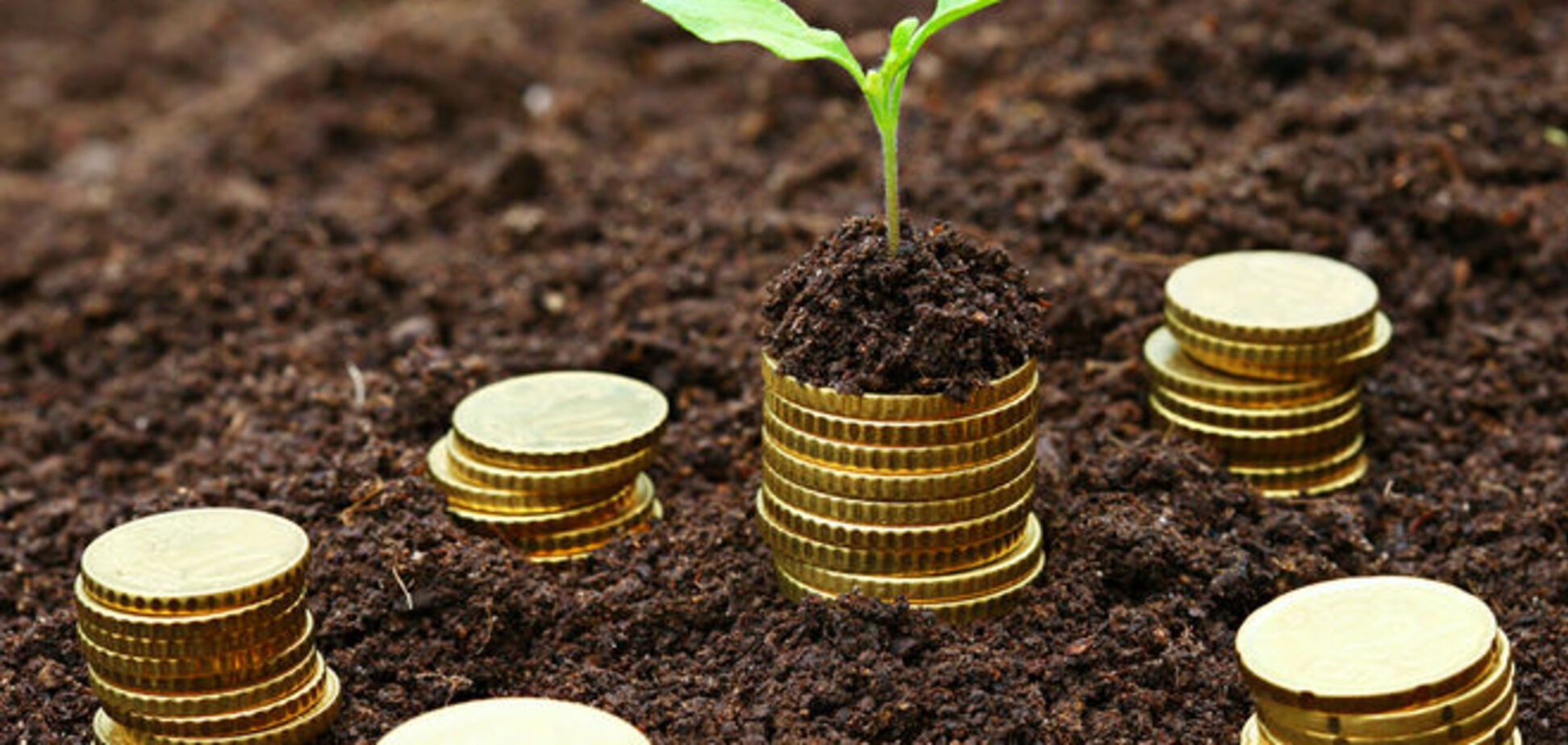 Когда украинская экономика начнет выходить из кризиса: инфографика