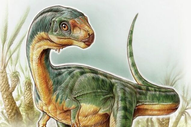 Палеонтологи нашли утконосого и травоядного 'дедушку' хищного тираннозавра