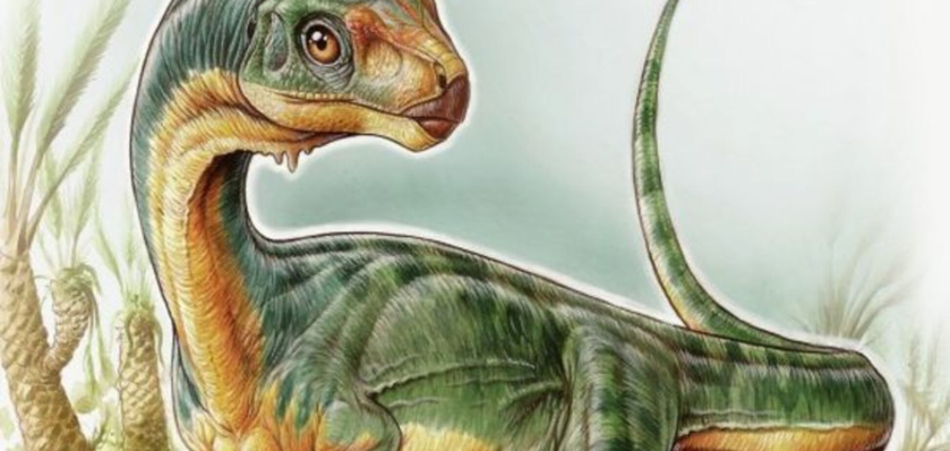 Палеонтологи нашли утконосого и травоядного 'дедушку' хищного тираннозавра