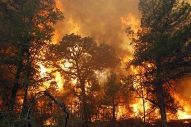 Третья мировая война начнется со взрывов в Чернобыле