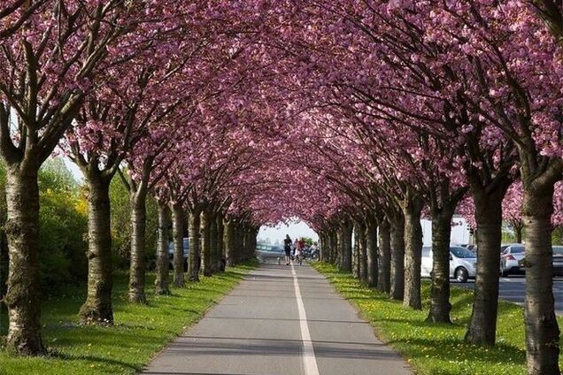Журналисты узнали, во сколько обойдутся украинской экономике 'майские каникулы'