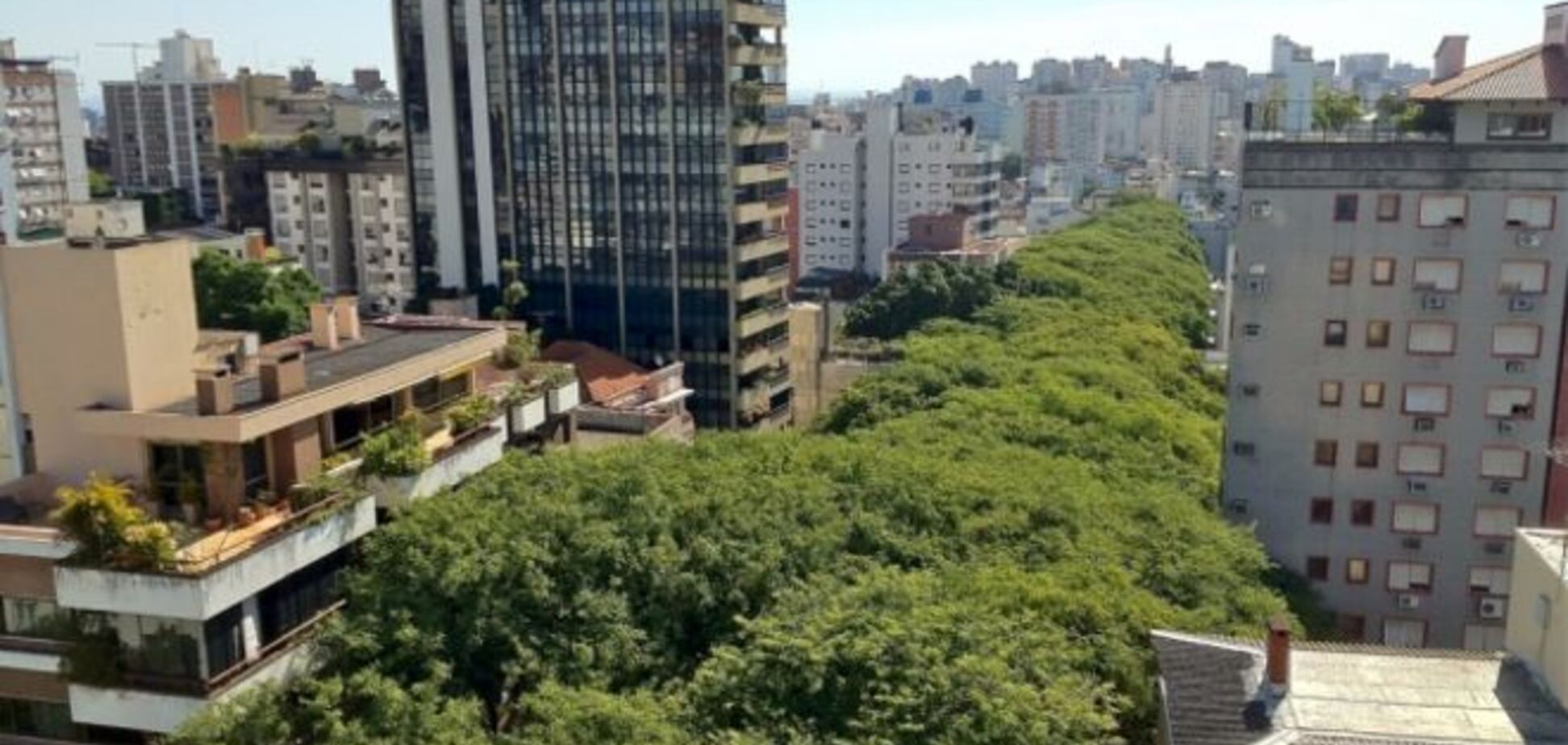 Дышите легко: самая зеленая улица в мире