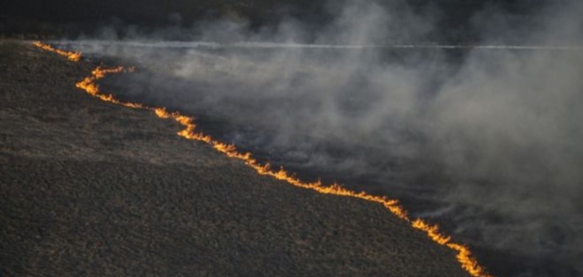 Экологи объяснили, зачем кому-то поджигать чернобыльские леса