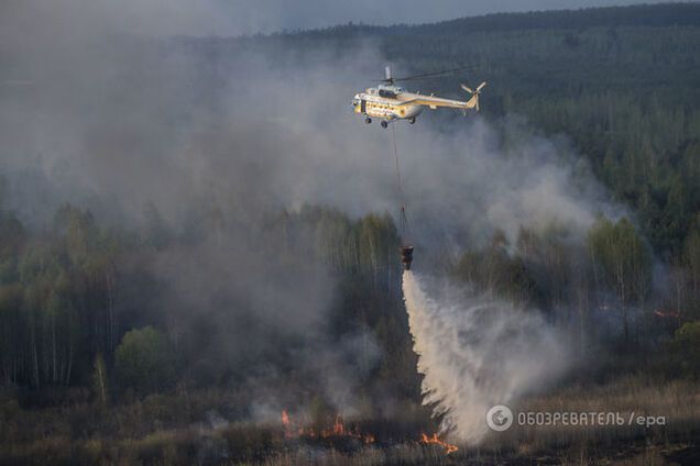 В Чорнобильській зоні відчуження - борги по зарплаті, незаконні вирубки лісу й відсутність керівництва
