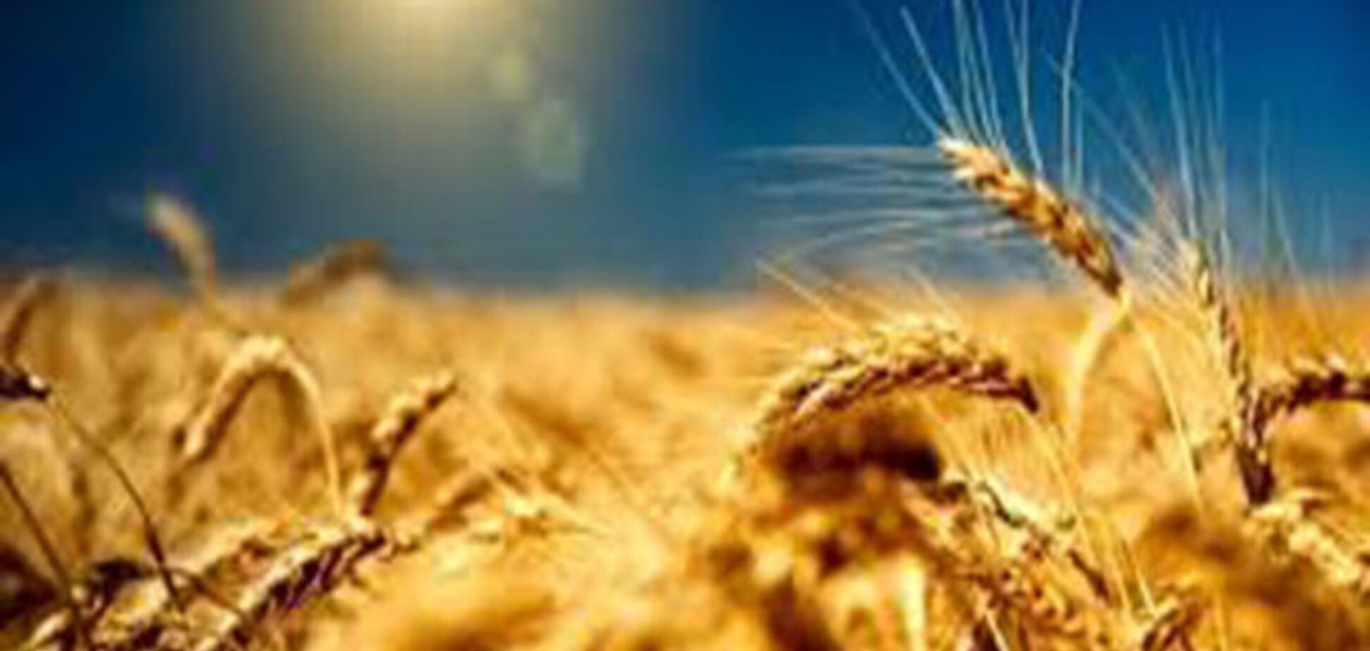 Аграриям сократят количество разрешительных процедур