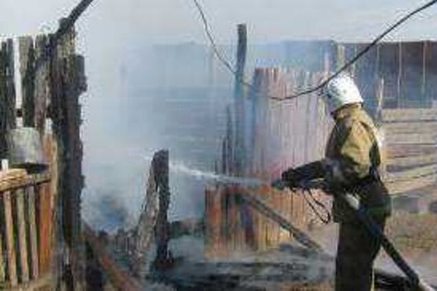 Покурил: в Забайкалье россиянин случайно сжег 178 овец и ферму