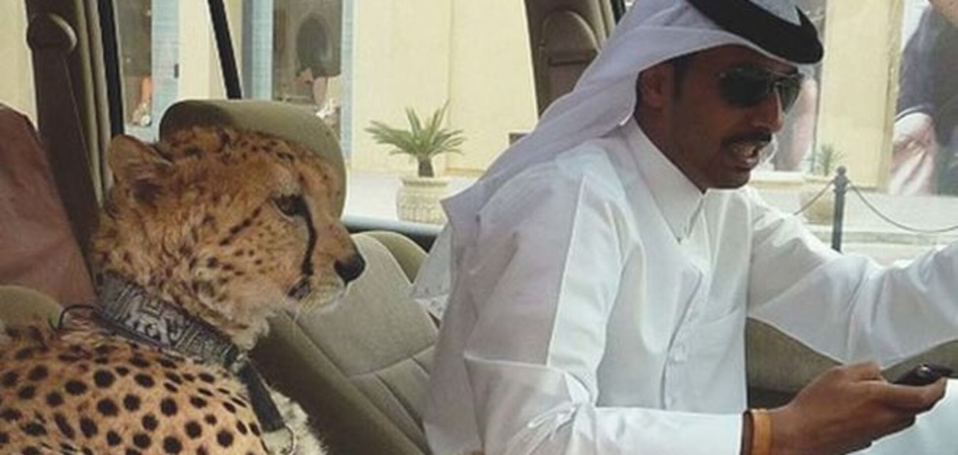 Самый безумный город на Земле: 15 редких фото богатого Дубаи