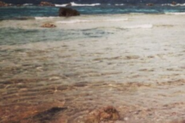 Оля Полякова похвасталась стройной фигурой в бикини