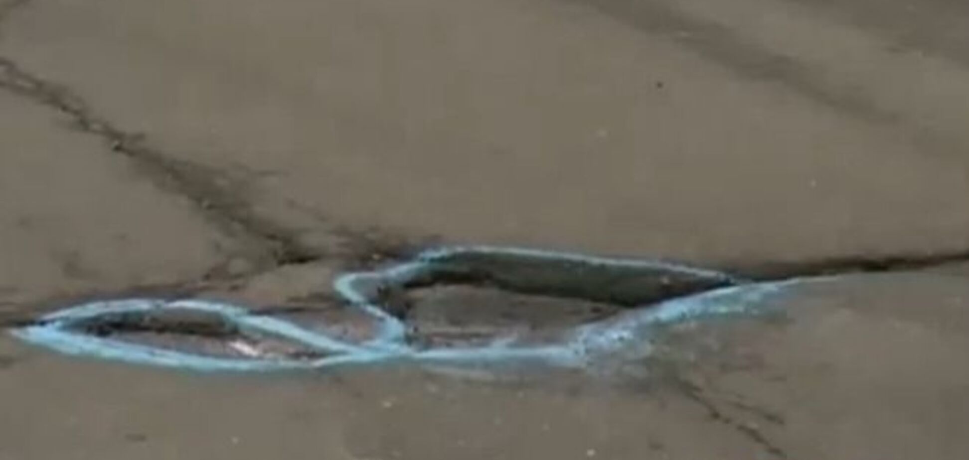 Киевлянин-'художник' заставляет коммунальщиков быстрее латать ямы