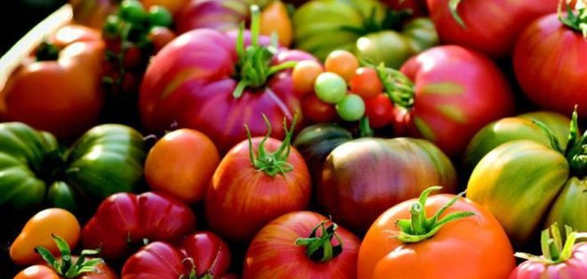 12 продуктов, которые нельзя класть в холодильник