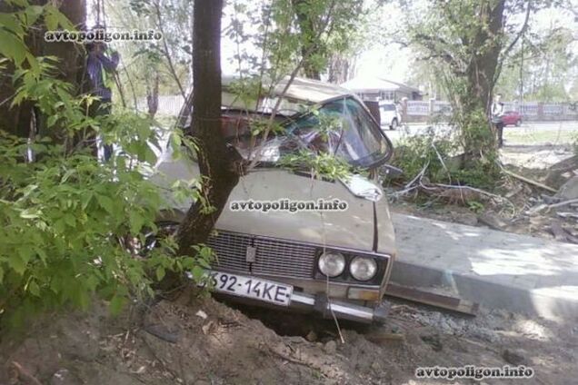 Старик и древо: в Киеве 90-летний дедушка на ВАЗе попал в ДТП