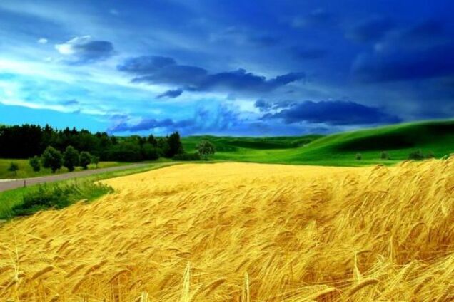 Пашем и не ноем, если не хотим в стойло Путина