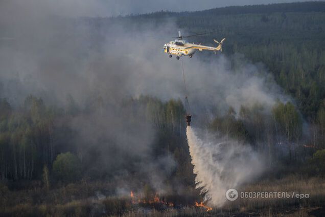 Соцсети о пожаре в зоне ЧАЭС: мы все умрем, нас спасет только кактус