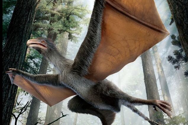 Вчені показали, як виглядав рідкісний динозавр-'голуб'