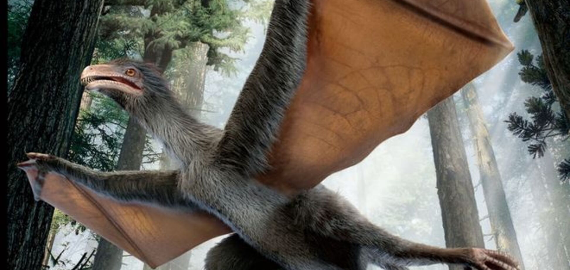Ученые показали, как выглядел редкий динозавр-'голубь'