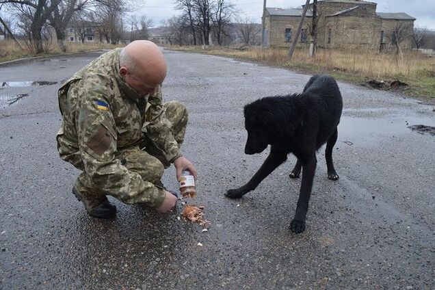 Есть можно: Москаль в Троицком накормил украинской тушенкой Евроскептика - фотофакт