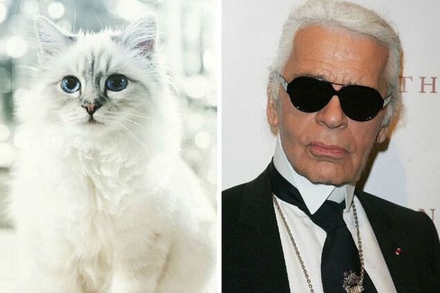 Кошка Лагерфельда имеет двух горничных, банковский счет и гонорар в 69 млн грн
