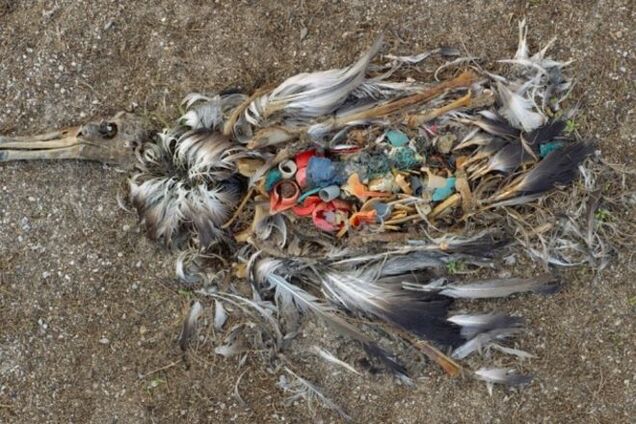 12 фото, показывающих, во что люди превратили свою планету