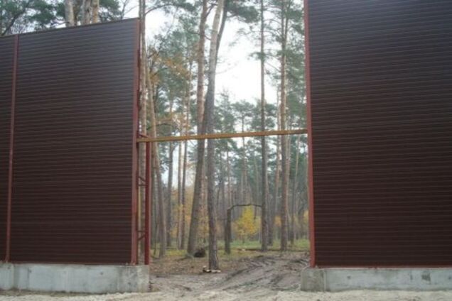 Дід Калетника заблокував рішення суду по 14 га лісу під Києвом