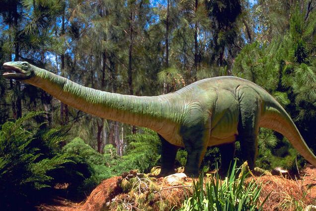 Ученый из Португалии вернул к 'жизни' бронтозавра