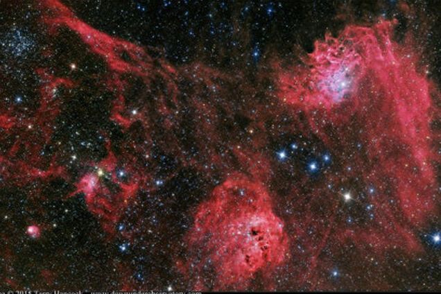 Астрономы засняли гигантский 'космический сад' с Пауком и Мухой