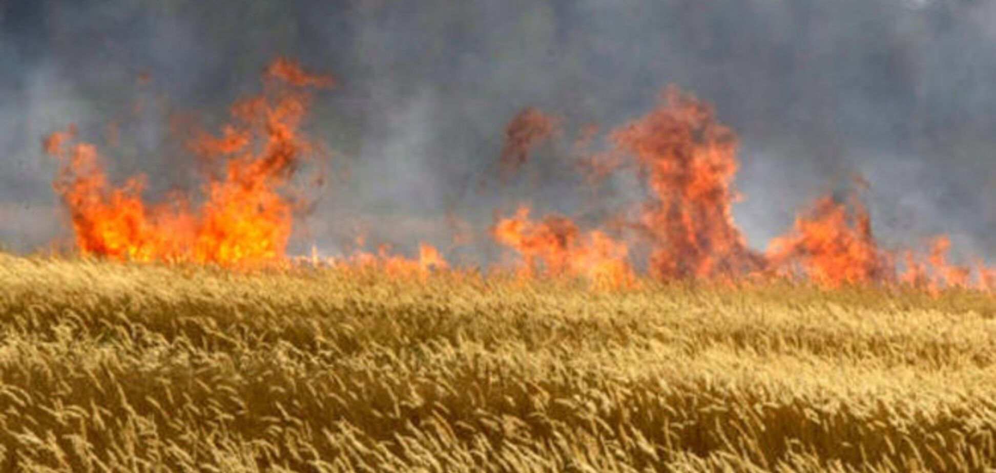 В Украине появится карта рисков катастроф: пожары, сдвиги и паводки