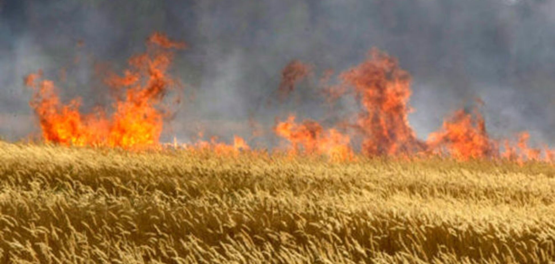 В Україні з'явиться карта ризиків катастроф: пожежі, зсуви та паводки