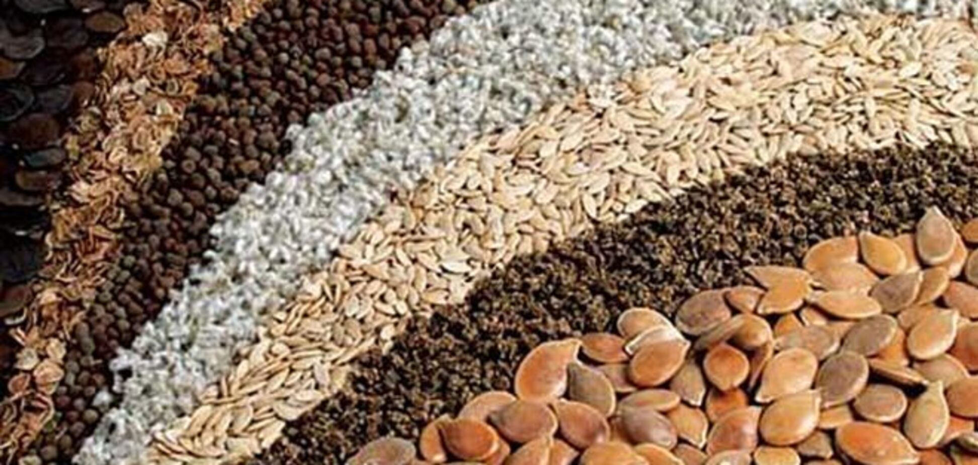 Рада сделала шаг на пути к прозрачности производства семян в Украине