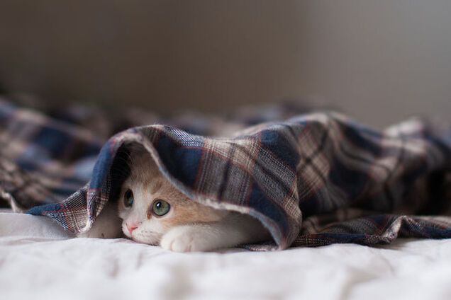 В 'Киевэнерго' успокоили: тепло отключат всем, но не сразу