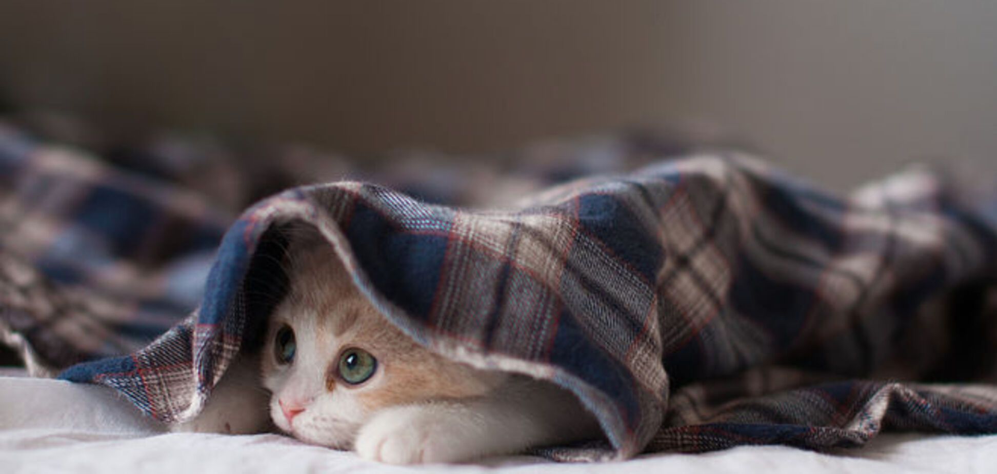 В 'Киевэнерго' успокоили: тепло отключат всем, но не сразу