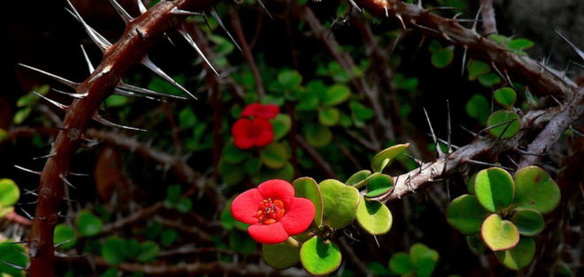 Страстная пятница: что можно, а чего нельзя