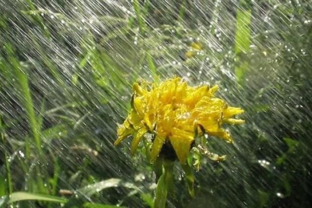 Шашлык отменяется: синоптики обещают грозовые дожди
