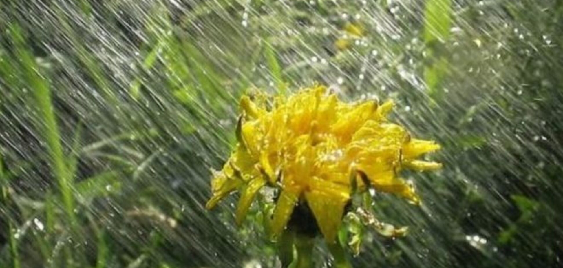 Шашлык отменяется: синоптики обещают грозовые дожди