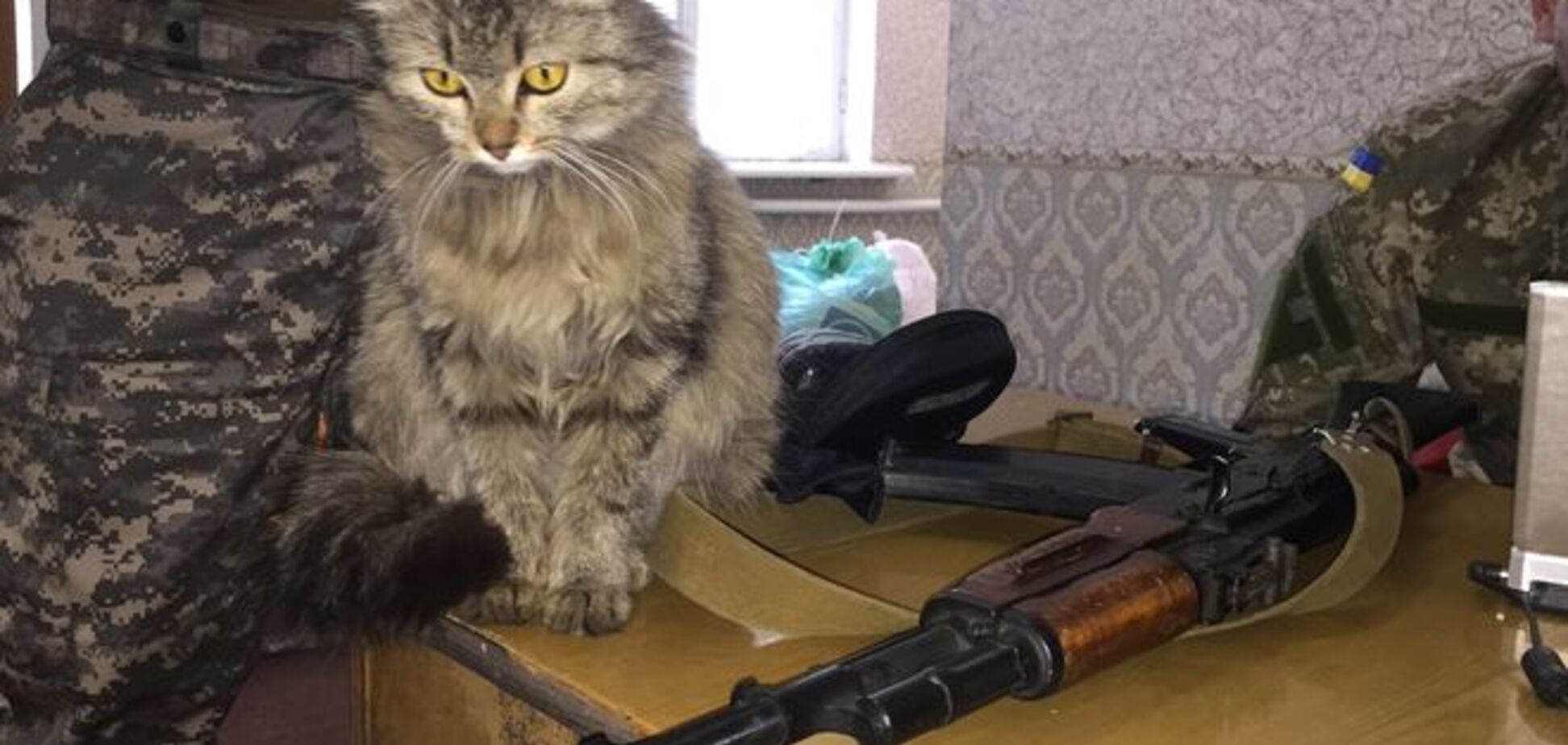 У бойцов АТО в Песках появился пушистый ангел-хранитель. Фотофакт