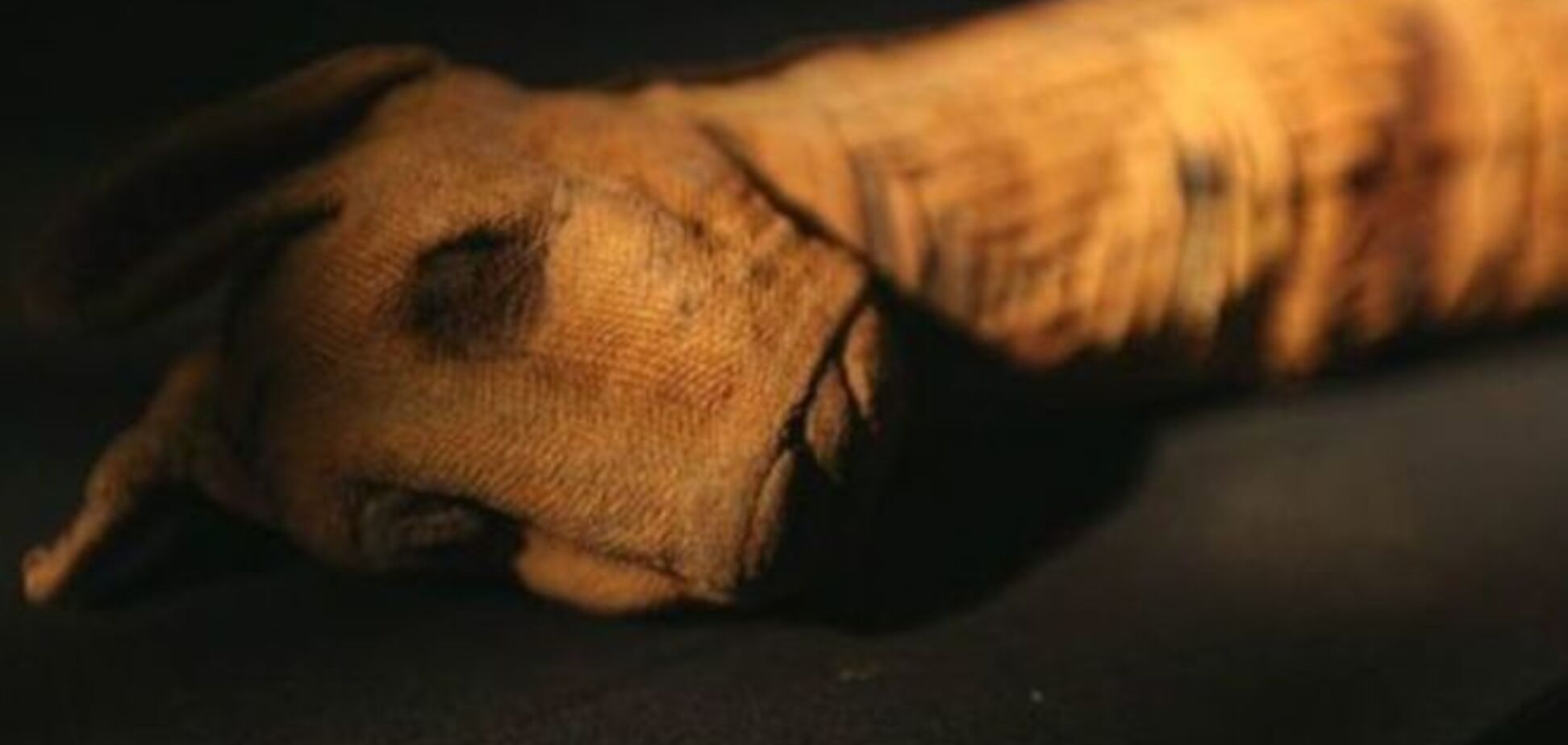 Скандал: в Египте обнаружили пустые мумии животных