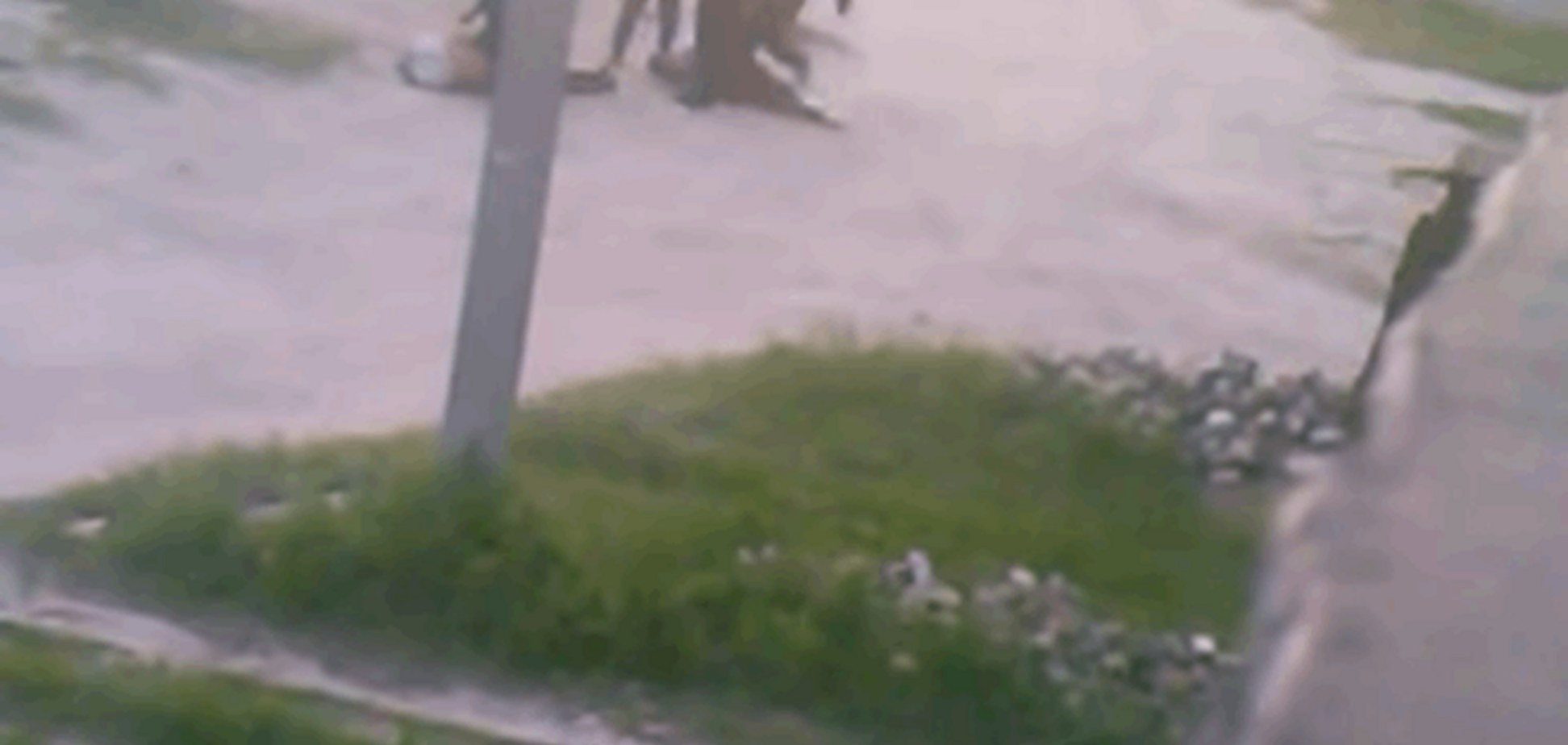 Сеть возмутило видео с Харьковщины, где пьяные милиционеры избили людей: идет проверка