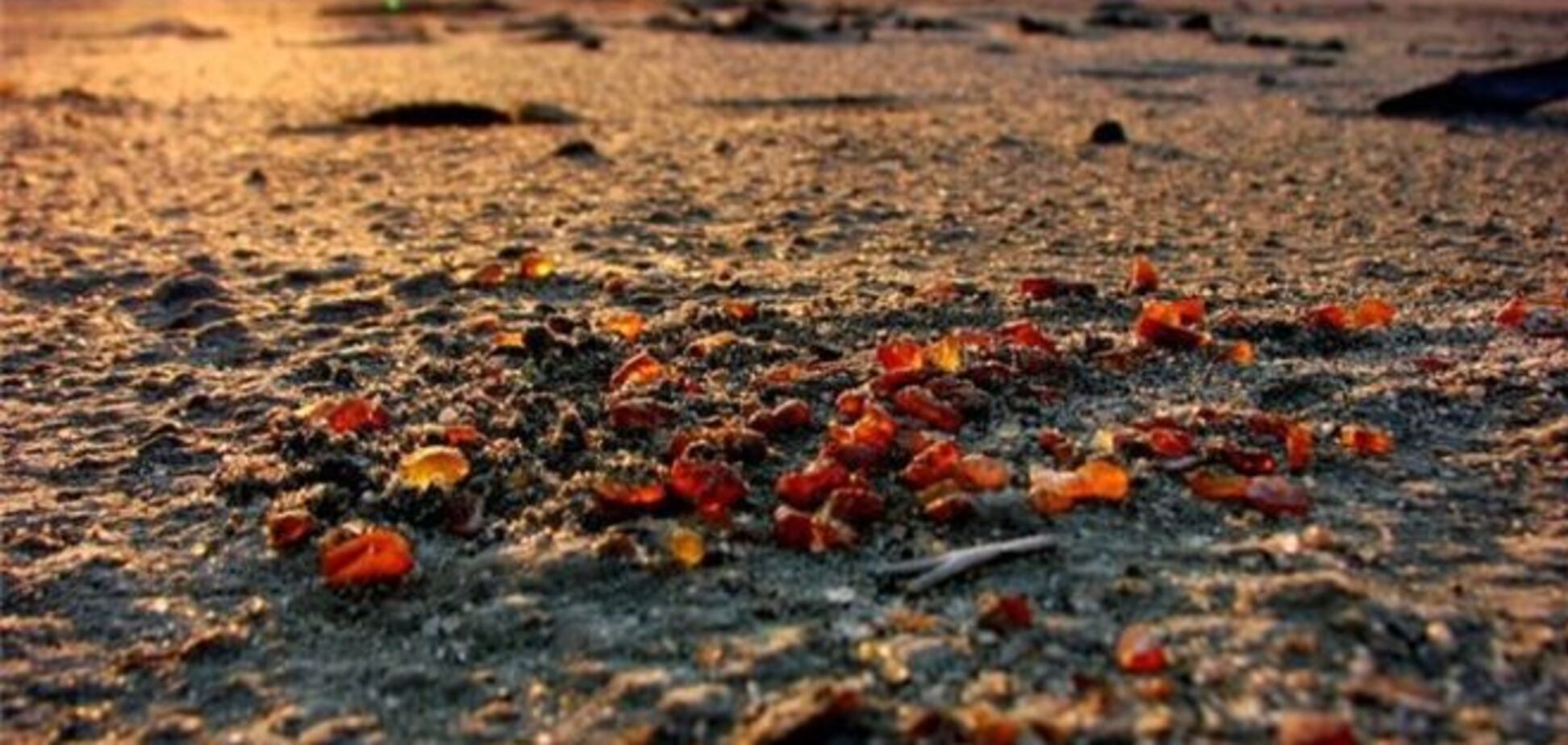 Дмитрий Кащук заявил, что обвинений против него СБУ не выдвигала