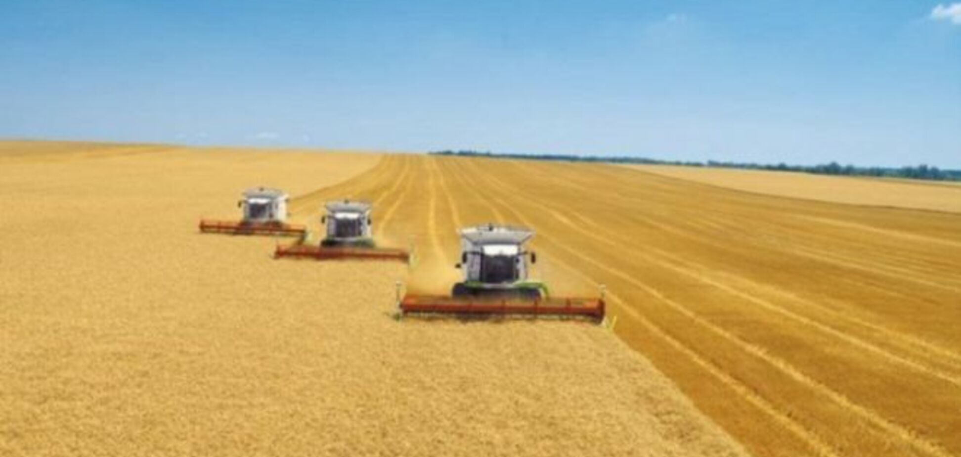 В Украине будет приватизировано 80 аграрных компаний. Список