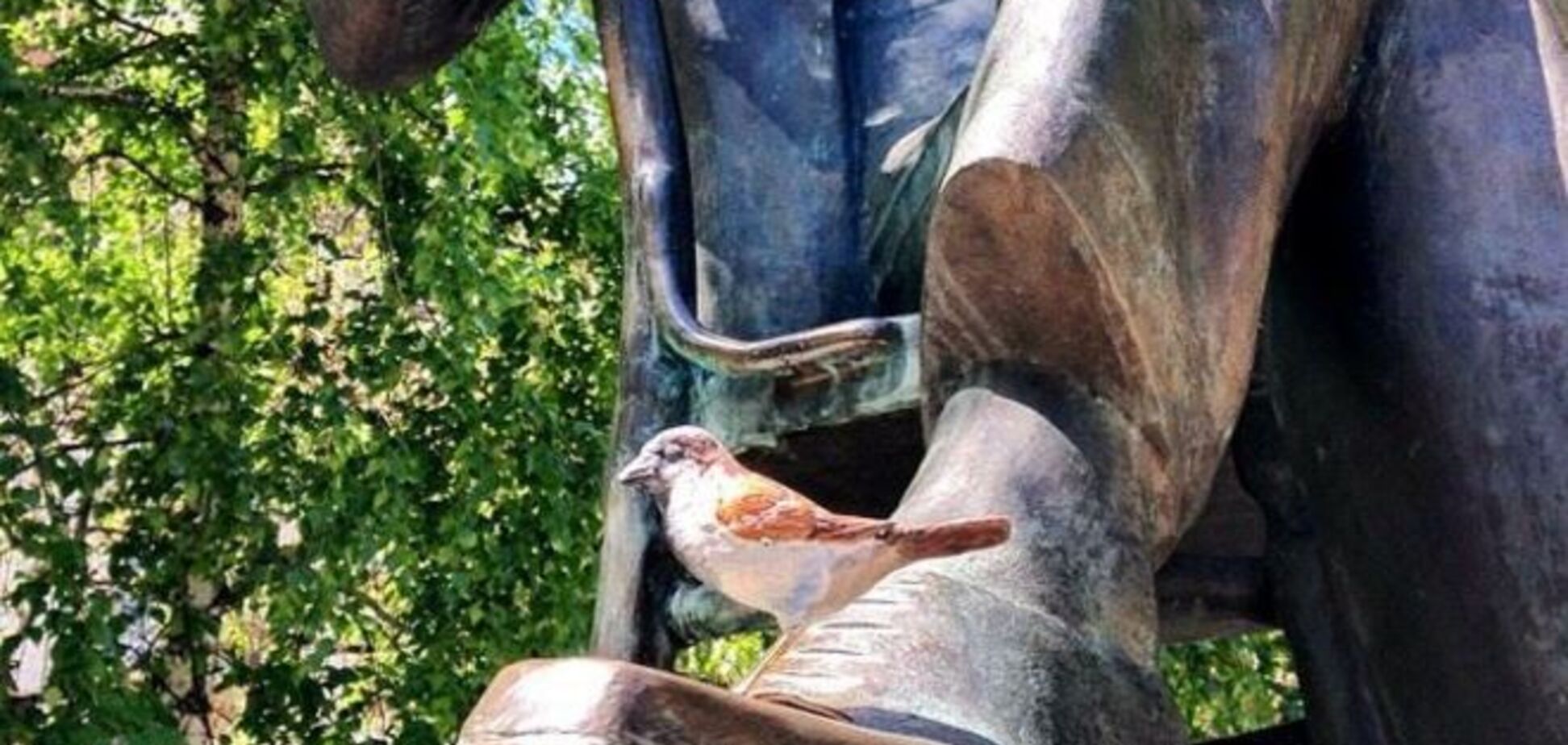 На киевском памятнике появился необычный воробей: фотофакт