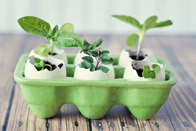 10 креативных идей для дачников