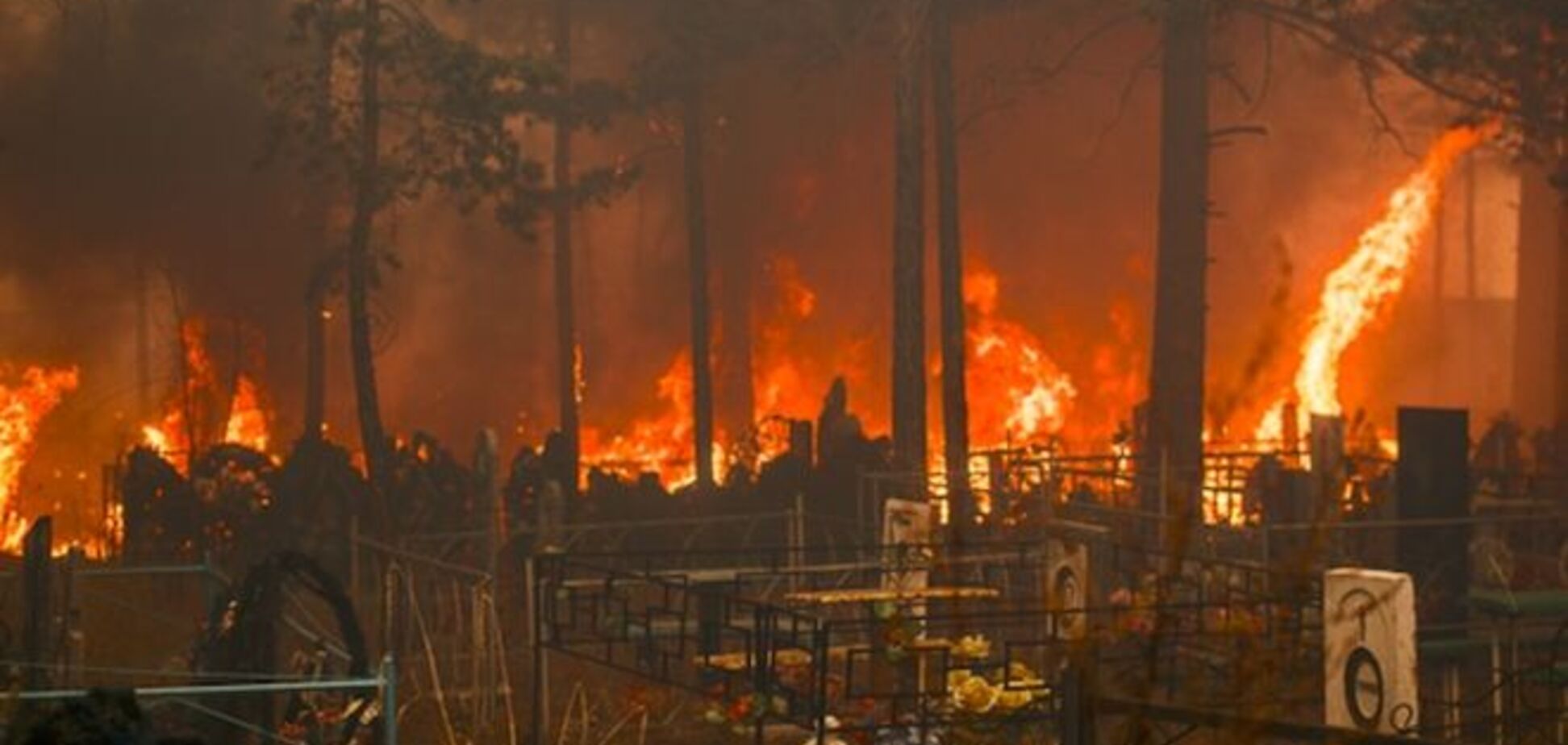Площадь пожаров в Забайкальском крае выросла за сутки на 60%