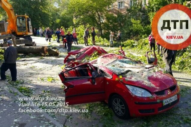 У Києві внаслідок падіння дерева загинула 5-річна дівчинка
