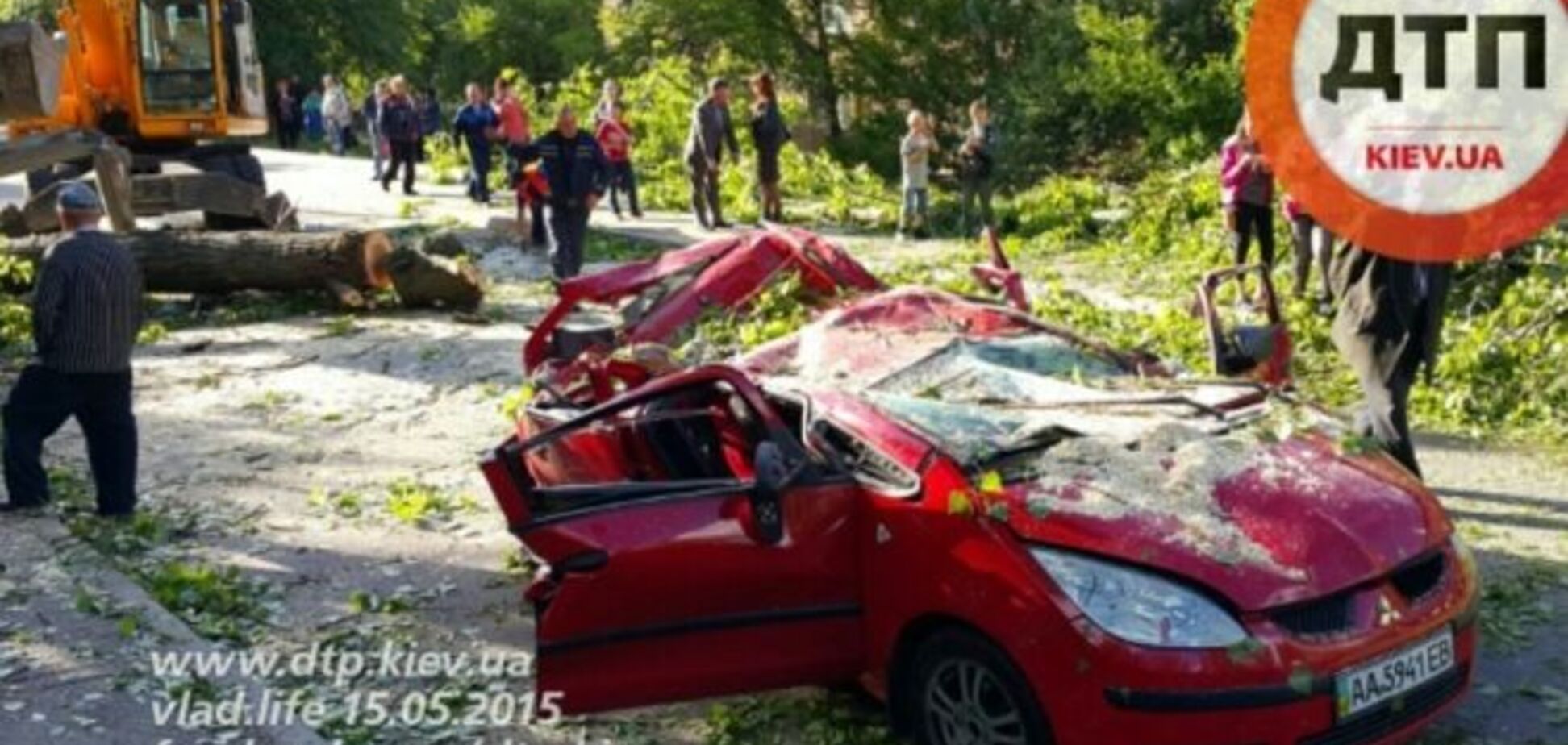 В Киеве в результате падения дерева погиб ребенок
