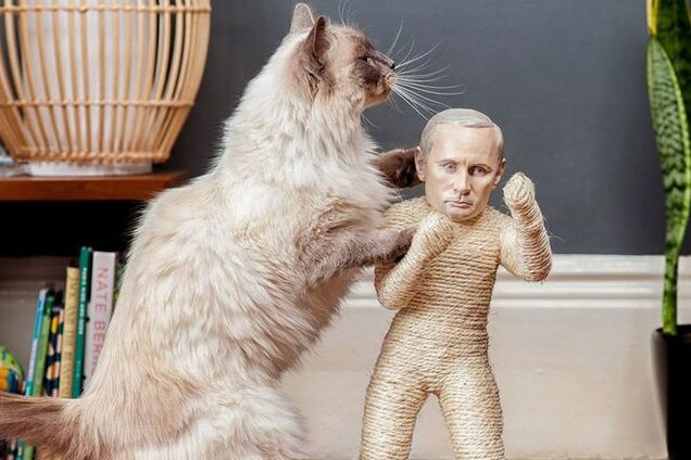 Что ваш кот думает о Путине? Для домашних любимцев создали 'когтеточки' с мировыми диктаторами