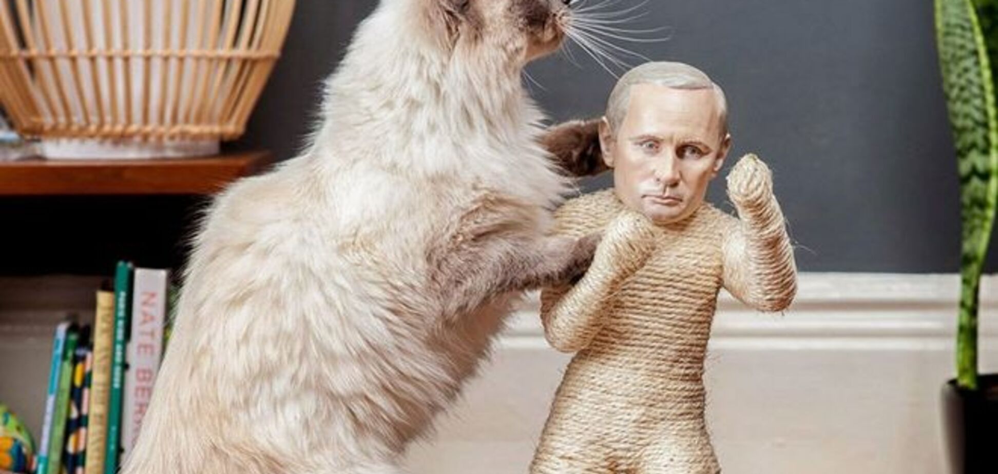 Что ваш кот думает о Путине? Для домашних любимцев создали 'когтеточки' с мировыми диктаторами